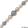 Mop-Shell Beads Freshwater Plated 8-16mm