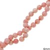 Coral Round  Beads 6mm