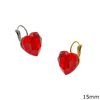 Stainless Steel Hook Earrings with Faceted Heart 15mm