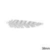Brass Filigree Spacer Feather 28mm