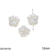 Shell Pearl Bead Paw 12mm