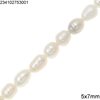 Freshwater Rice Baroque Pearl Beads 5x7mm