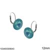 Silver 925 Hook Earrings with Rivoli 12mm