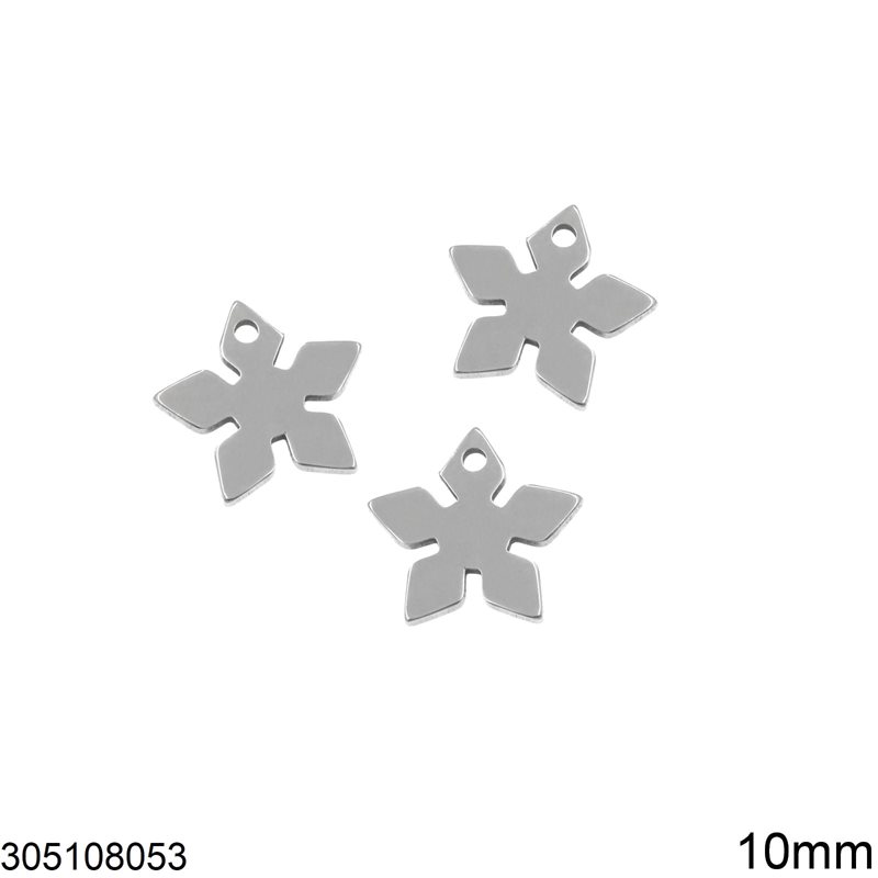 Stainless Steel Pendant Star 10mm