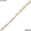 Χάνδρες Κοχύλι Σχήμα Κόκκαλο 4x8mm