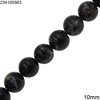 Shell Round Beads 10mm