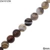 Striped Agate Round Beads 6mm