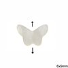 Mop-shell Butterfly Bead 6x9mm