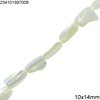 Shell Parallelogram Beads 10x14mm