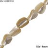 Shell Parallelogram Beads 10x14mm