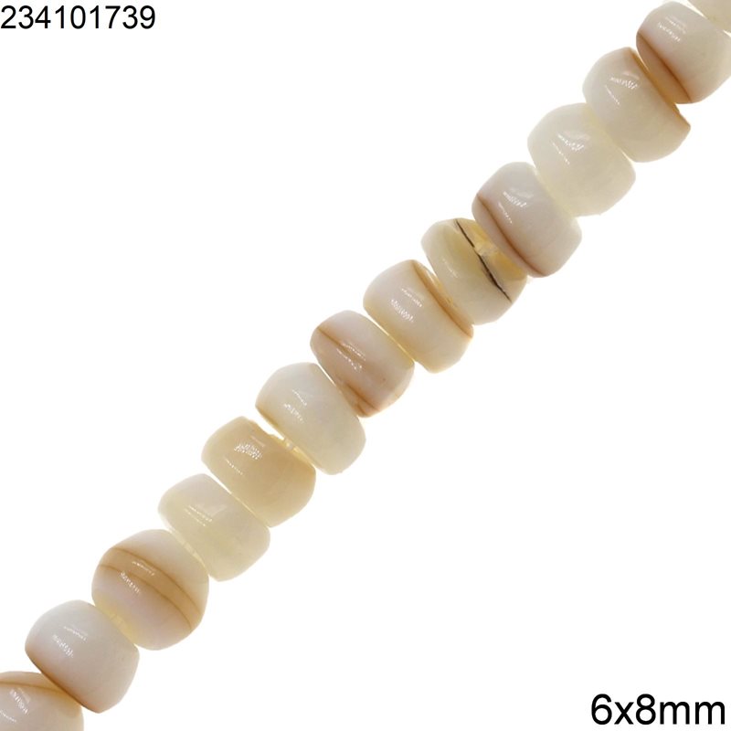 Shell Rodelle Beads 4x6mm