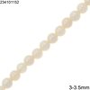 White Coral Beads 3-3.5mm