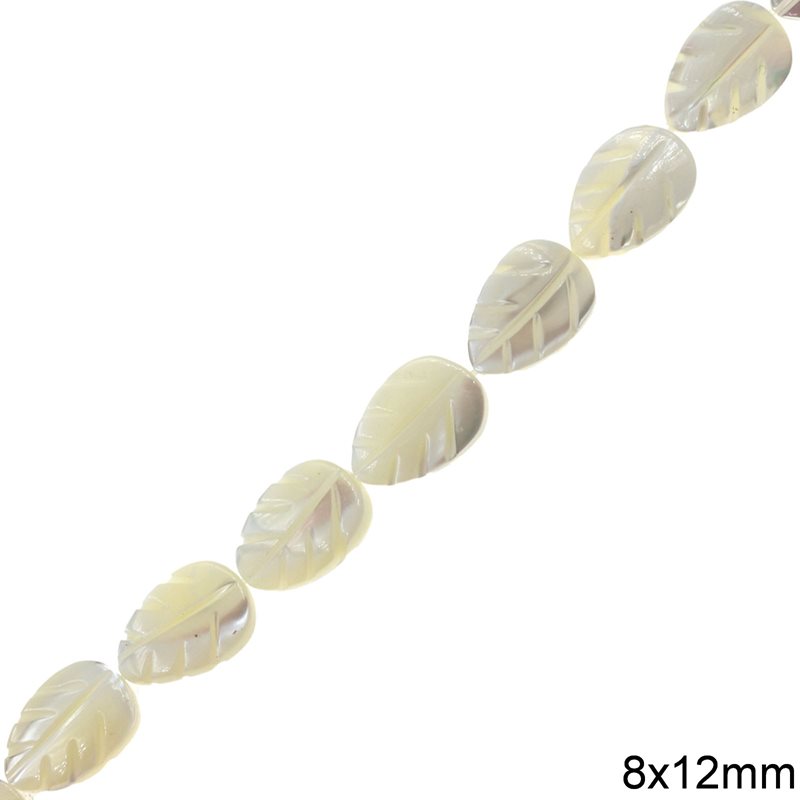 MOP Leaf Beads 8x12mm