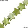 Shell Flat Beads Star 20mm