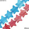 Shell Flat Beads Star 20mm