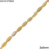 Mop-Shell Oval Beads 3x5mm