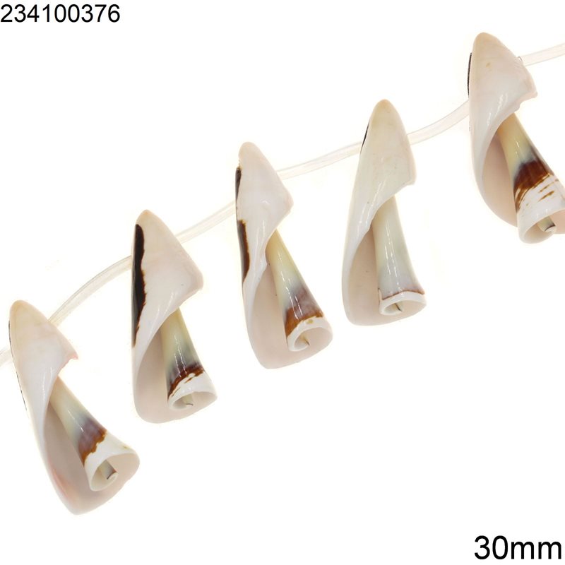 Shell 30mm 21pcs/strand, Beige natural