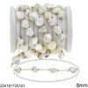 Stainless Steel Chain with Shell Beads 8mm