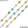 Stainless Steel Chain with Round Flat Faceted Bead 4.2x2.8mm