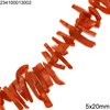 Coral Branches 20-30mm