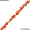 Branch Coral Beads 3.5x12mm