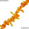 Branch Coral Beads 3.5x12mm