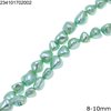 Shell Nugget Beads 8-20mm