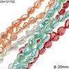Shell Nugget Beads 8-20mm