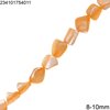 Shell Beads Irregular Shaped Dyed 8-10mm
