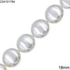 Shell Disk Beads Pearl Coated 18mm