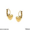 Stainless Steel Hook Earrings with Bold Heart 10mm