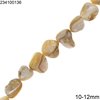 Natural Shell Beads 10-12mm, Beige