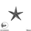 Silver 925 Pendant Starfish Textured 18mm 