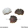 Shell Seashell Beads 12x13mm