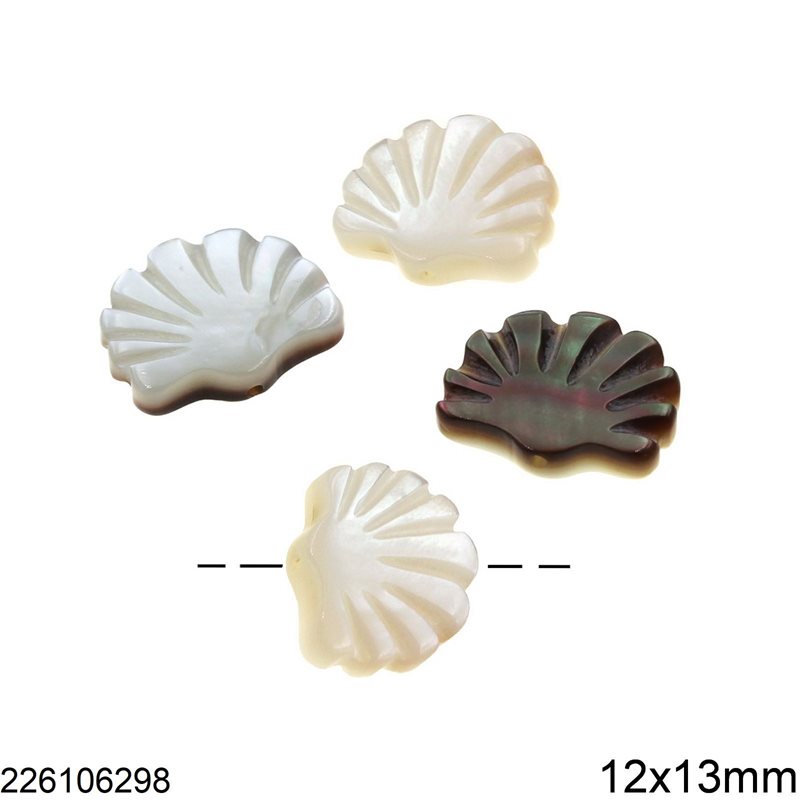 Shell Seashell Beads 12x13mm