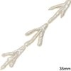 Freshwater Pearl Tooth Beads