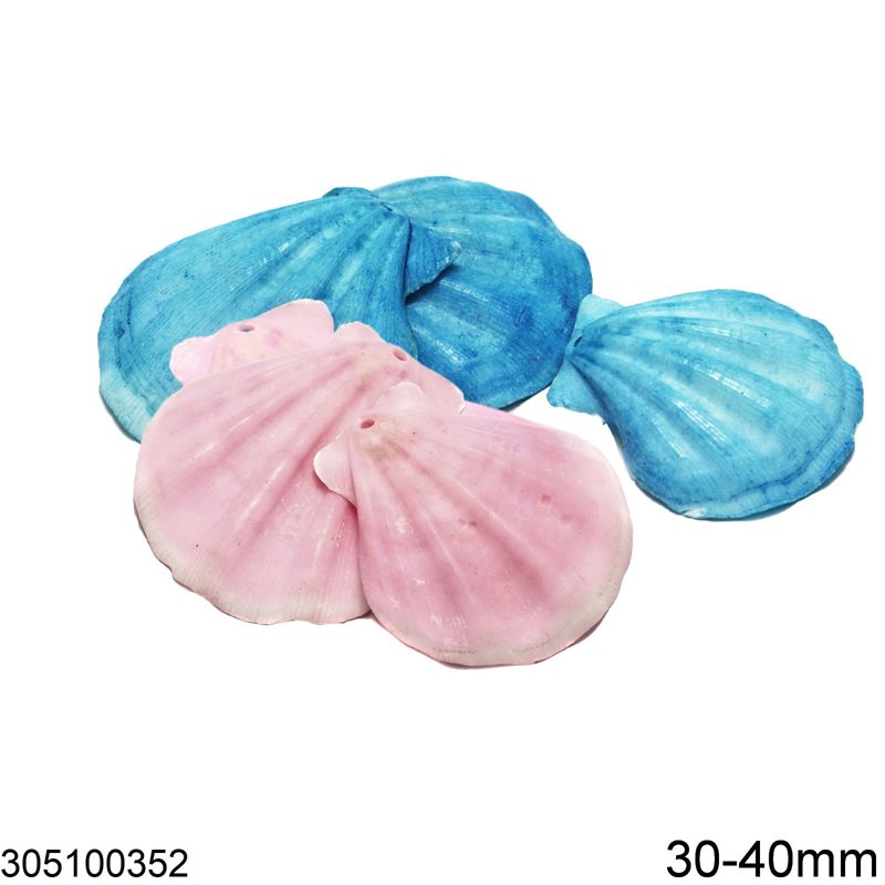 Shell Pendant 30-40mm