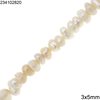 Freshwater Pearl Baroque Rodellen Beads 3x5mm