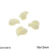 Pasta Bead Shell 16x13mm