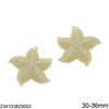Starfish pasta Beads 3D 30-36mm