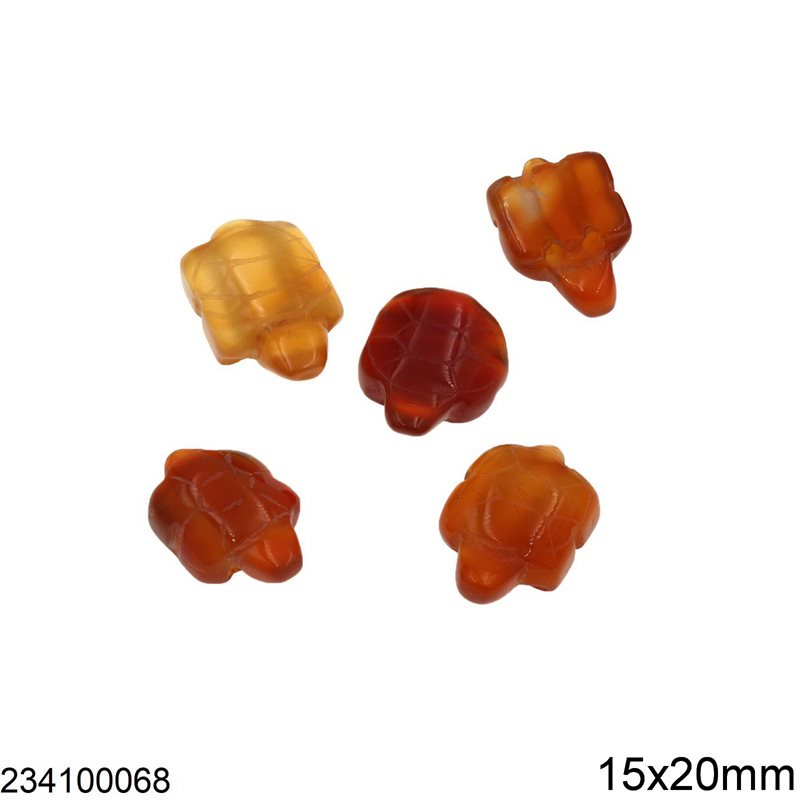 Carneol Turtle Beads 15x20mm