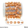 Stainless Steel Chain with Shell Beads 8mm
