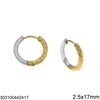Stainless Steel Hoop Earrings 2.5x5-25mm