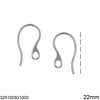 Stainless Steel Hook Earrings 22mm