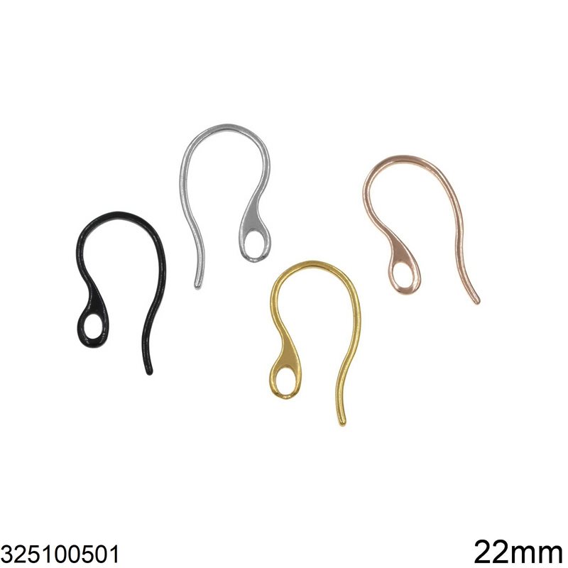 Stainless Steel Hook Earrings 22mm
