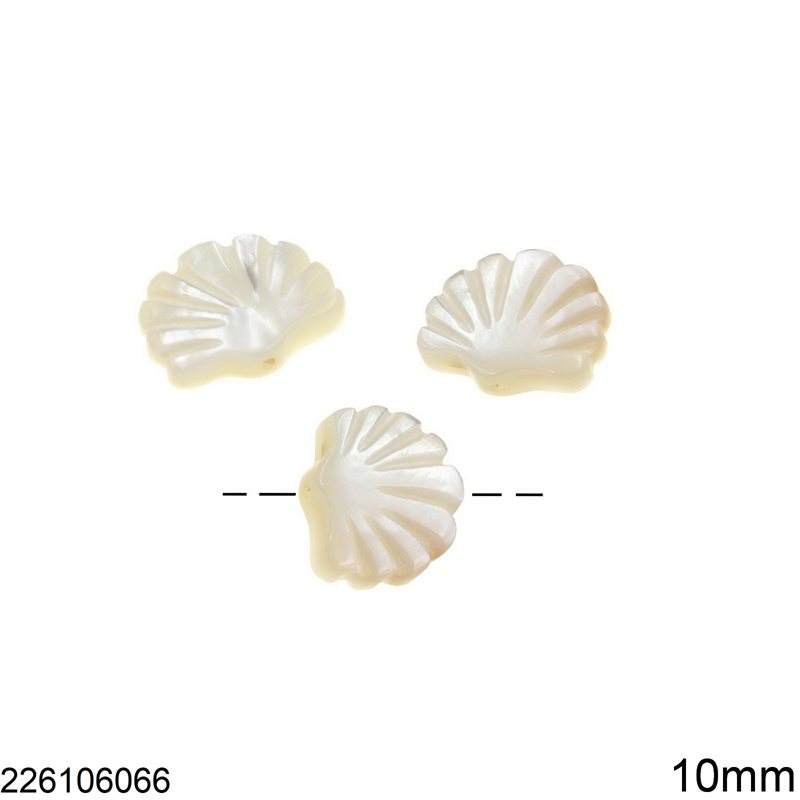 Shell Seashell Beads White 10mm