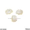 Shell Seashell Beads White 10mm