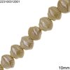 Ceramic Clam Shell Beads 10mm