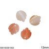 Shell Pendant 10-13mm