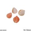 Shell Pendant 10-13mm